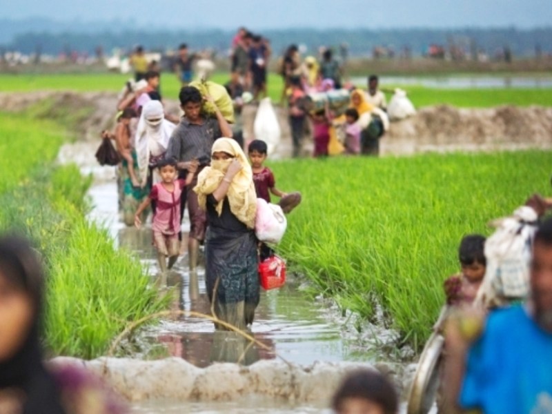 Uncertain Future of Rohingya&nbsp;Repatriation